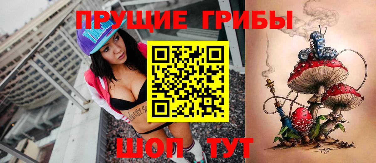 Большой Камень  Псилоцибиновые грибы прущие грибы  Галлюциногенные грибы GOLDEN TEACHER  Вход с VPN 